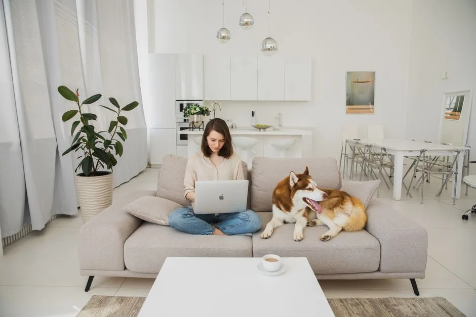 Dog sitting next to person browsing pet-friendly apartment listings on a laptop