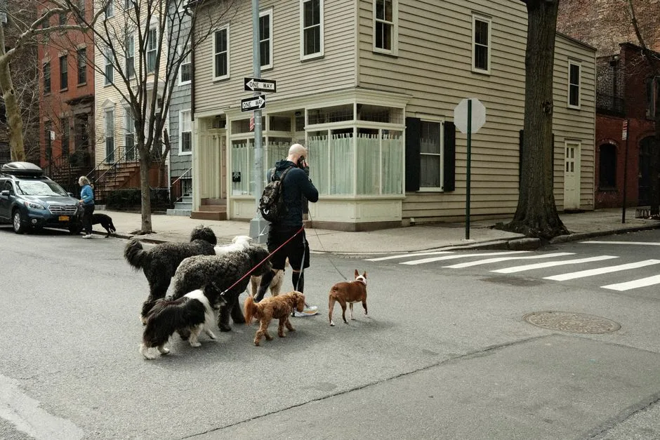 Person and dog exploring a new city neighborhood together