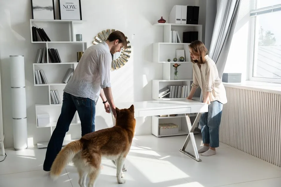 Clean bright rental apartment with pets