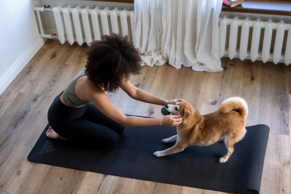 Protecting hardwood floors in a rental from pet damage