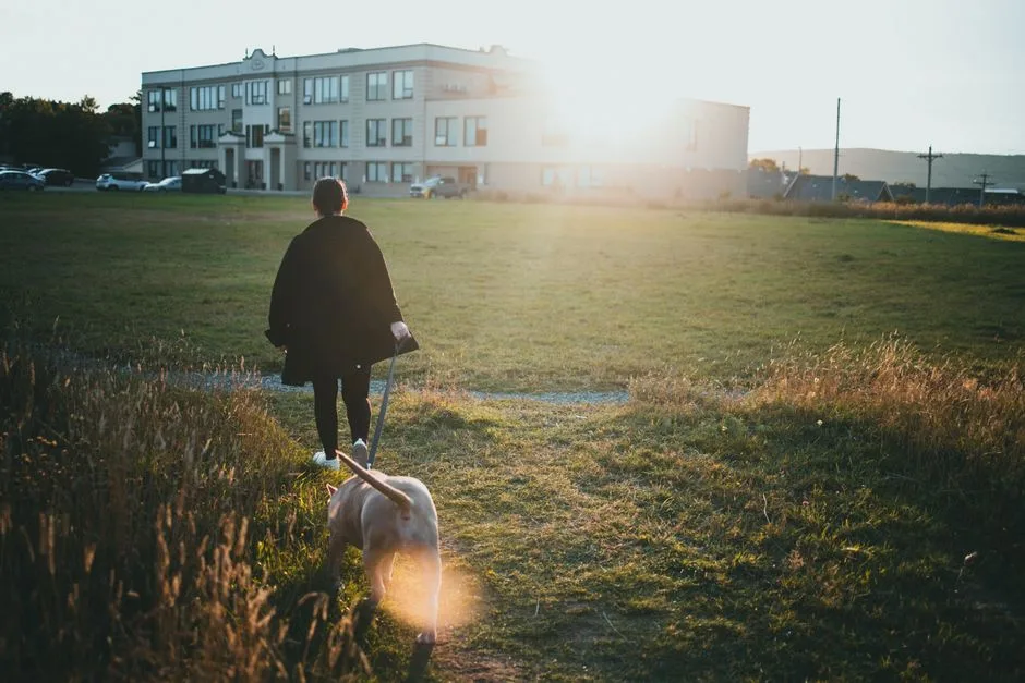 Person walking large dog in an urban neighborhood near apartments