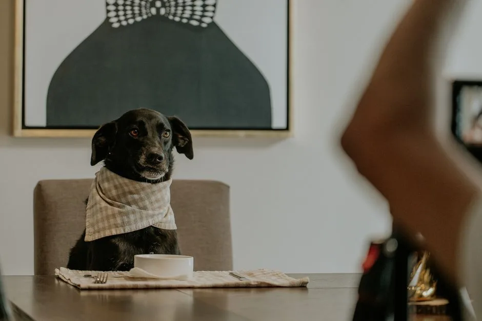 Prospective tenant showing a calm, well-groomed dog to a landlord during an apartment viewing