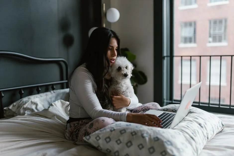Person using laptop to search for pet-friendly apartments, small dog sitting beside them