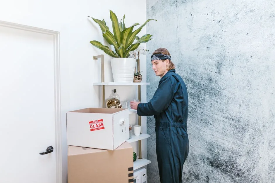 Clean, bright apartment ready for move-out inspection with no pet damage